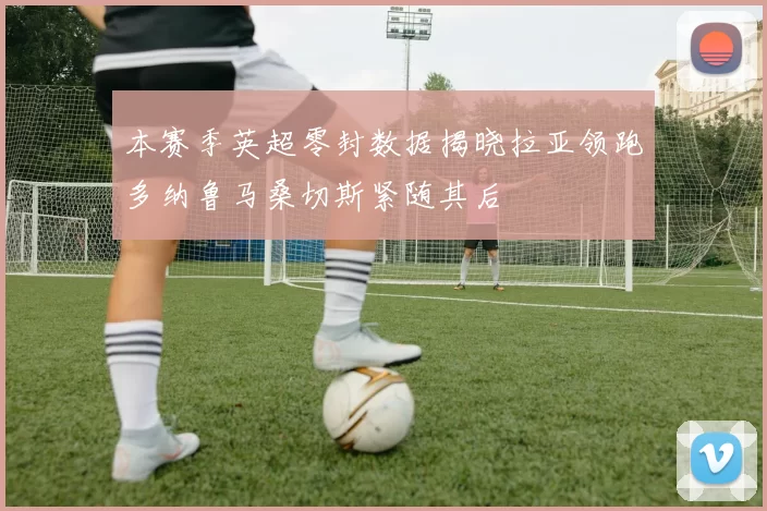 本赛季英超零封数据揭晓拉亚领跑多纳鲁马桑切斯紧随其后