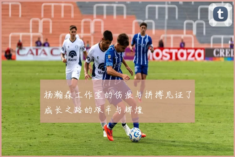 杨瀚森工作室的伤痕与拼搏见证了成长之路的艰辛与辉煌